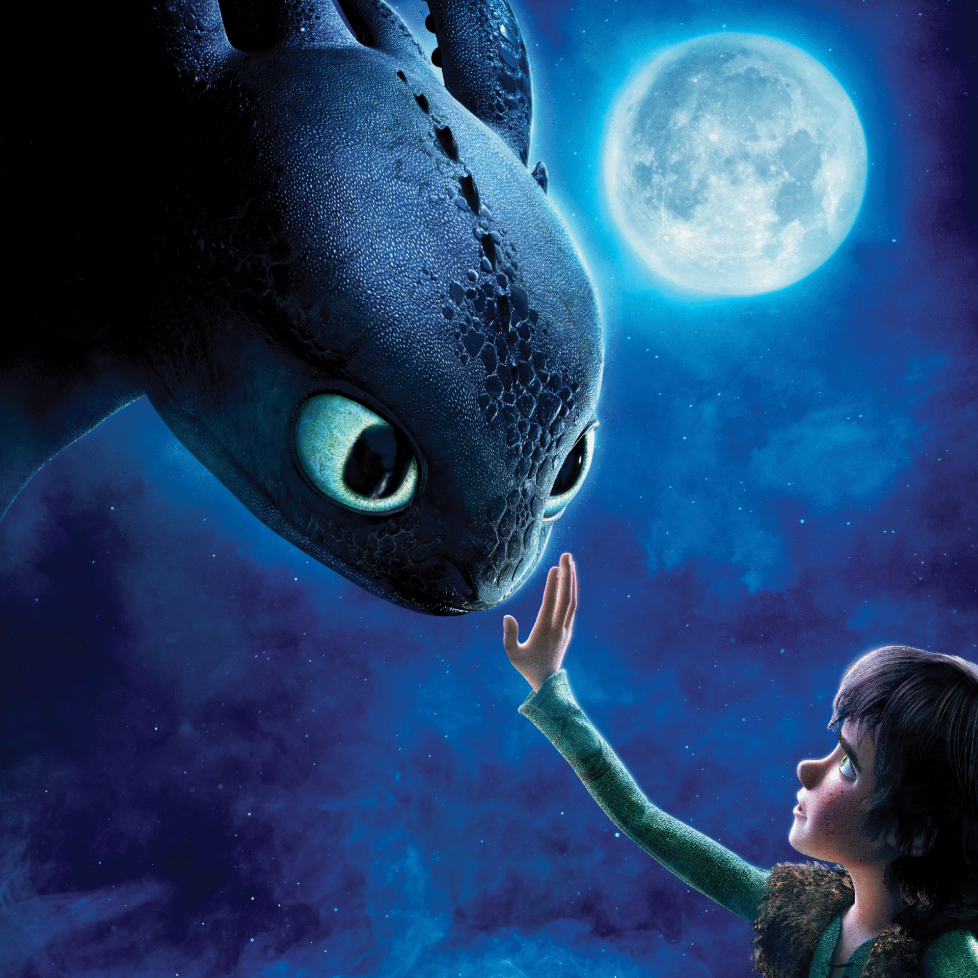 HOW TO TRAIN YOUR DRAGON IN CONCERT