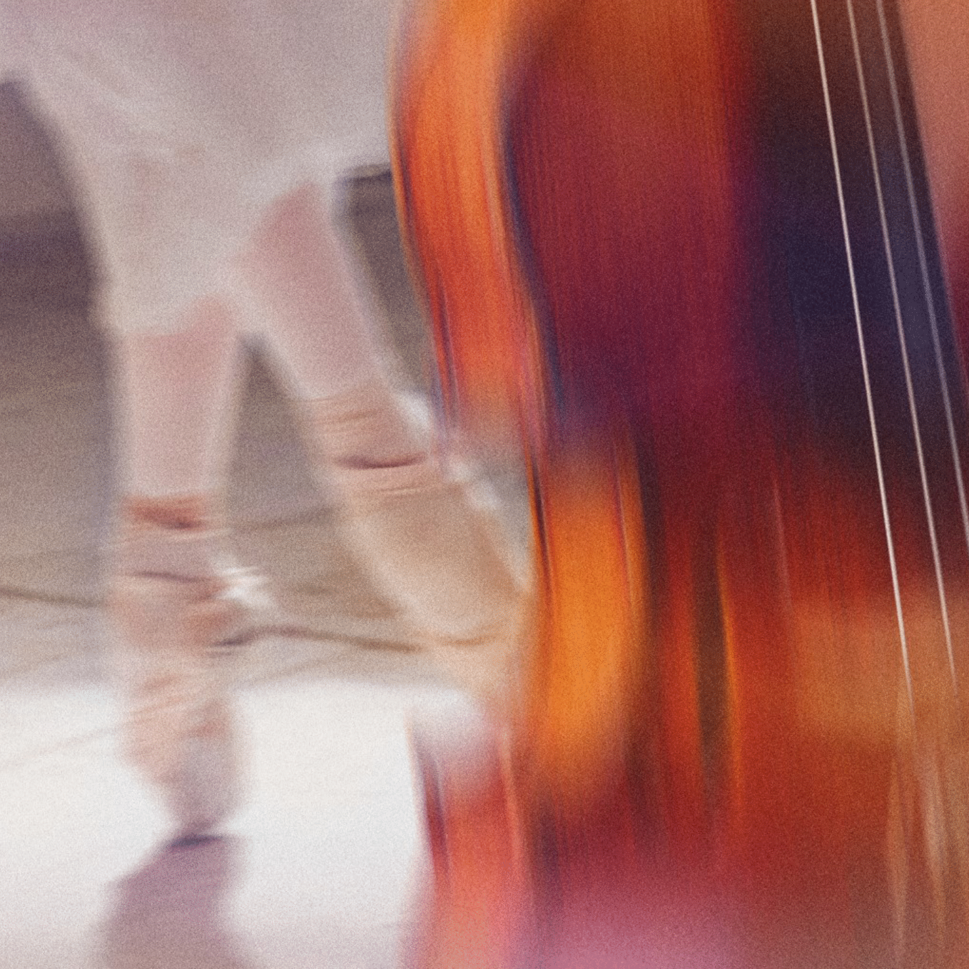 A NIGHT AT THE BALLET
