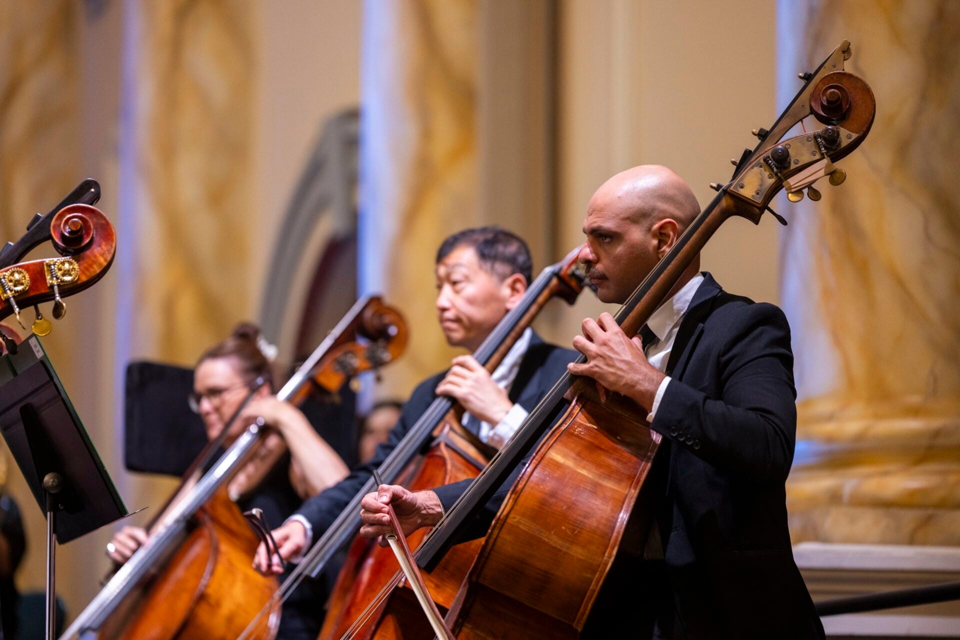 Get to know our new Tutti Double Bass, Gustavo Quintino